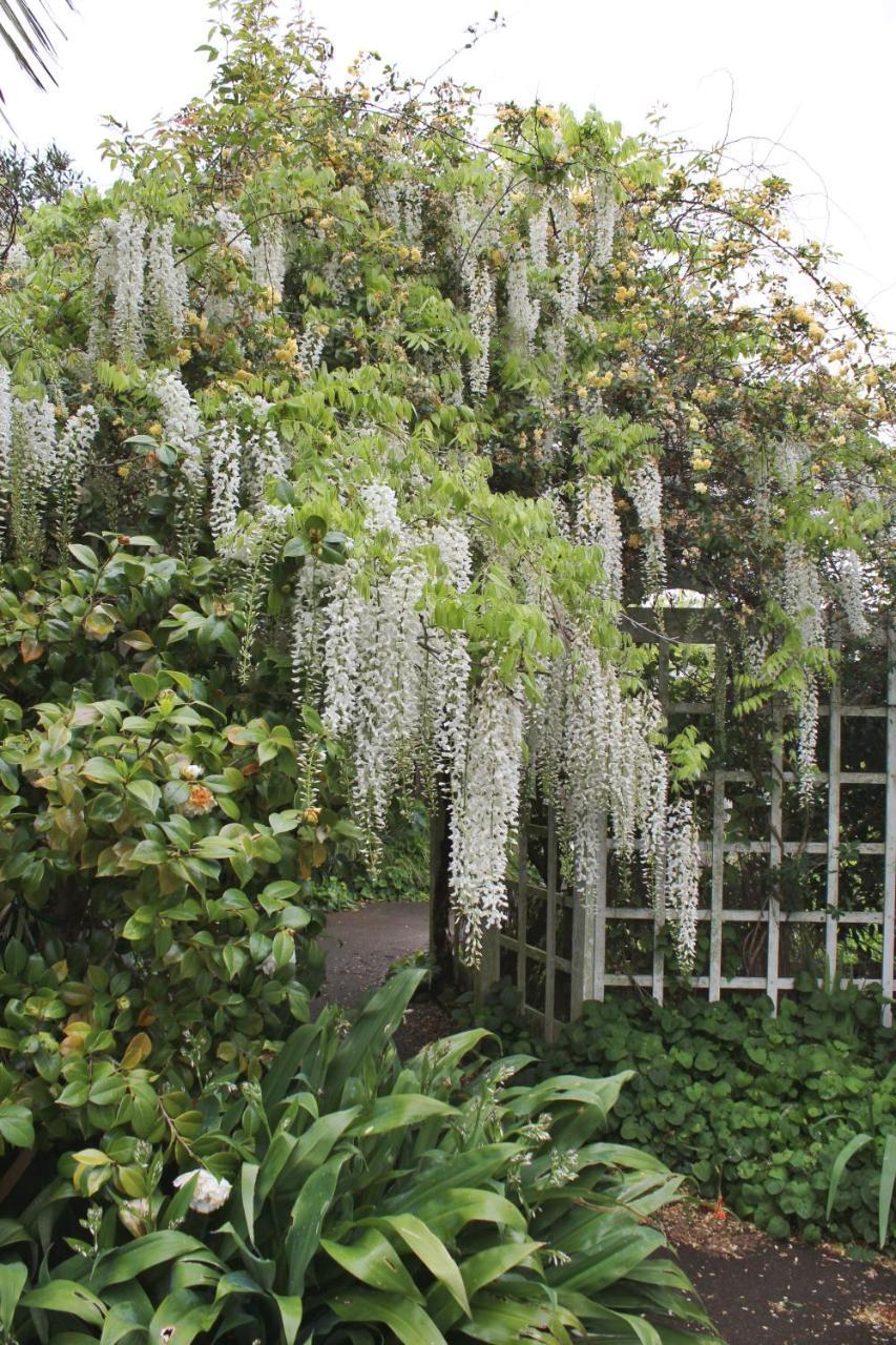 Browns Boutique Bed And Breakfast Whanganui Buitenkant foto