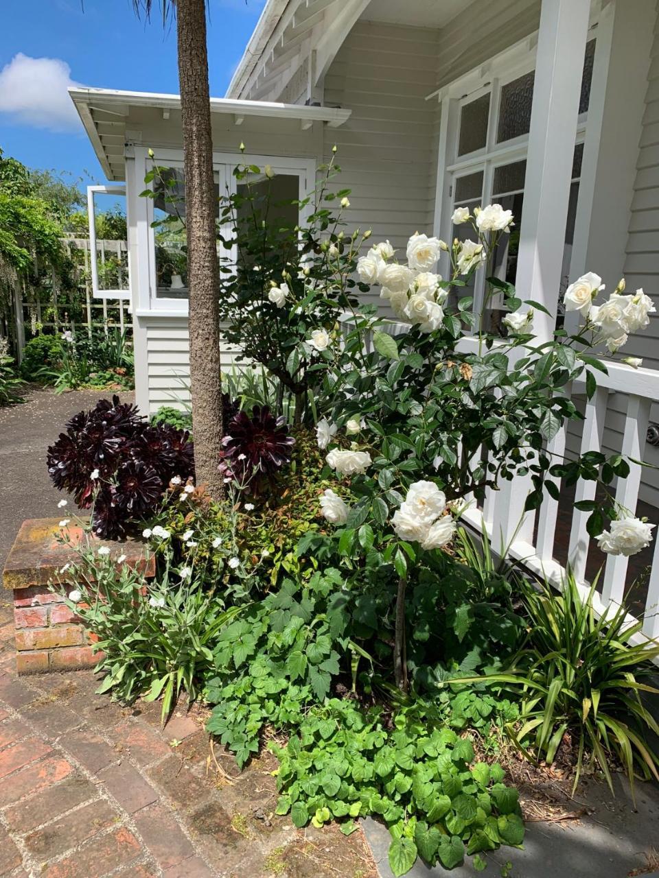 Browns Boutique Bed And Breakfast Whanganui Buitenkant foto
